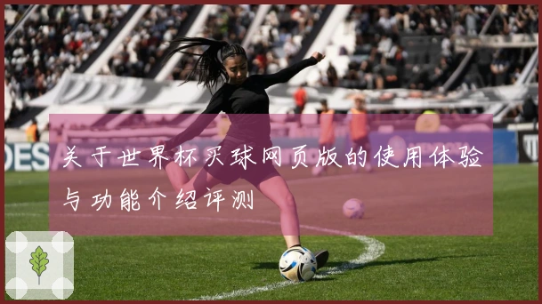 关于世界杯买球网页版的使用体验与功能介绍评测