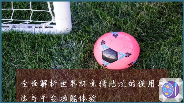 全面解析世界杯竞猜地址的使用方法与平台功能体验