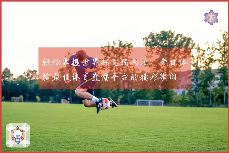 轻松掌握世界杯竞猜网址，带你体验最佳体育直播平台的精彩瞬间