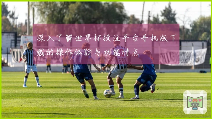 深入了解世界杯投注平台手机版下载的操作体验与功能特点