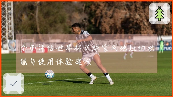 全面评估世界杯买球官网地址的功能与使用体验建议