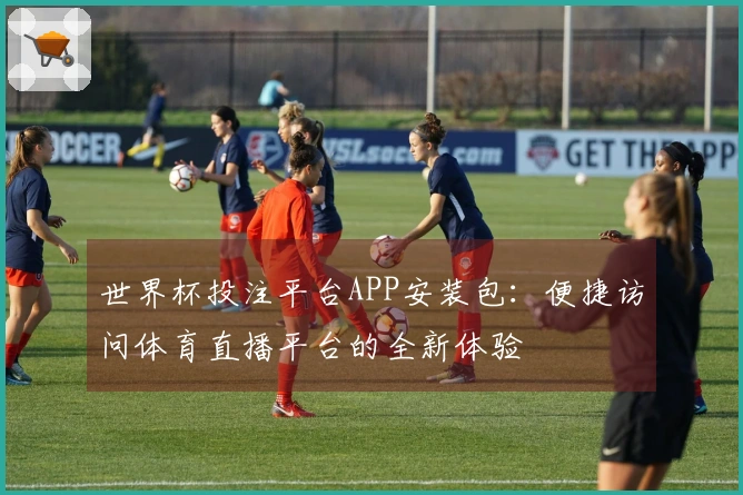 世界杯投注平台APP安装包：便捷访问体育直播平台的全新体验