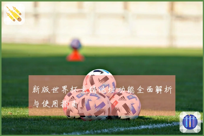 新版世界杯竞猜地址功能全面解析与使用指南