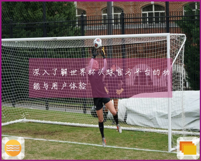 深入了解世界杯买球官方平台的功能与用户体验