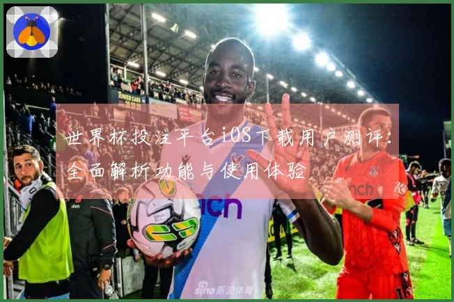 世界杯投注平台iOS下载用户测评：全面解析功能与使用体验