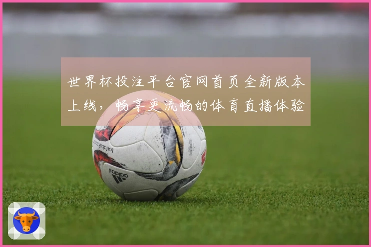 世界杯投注平台官网首页全新版本上线，畅享更流畅的体育直播体验