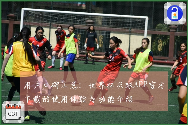 用户口碑汇总：世界杯买球APP官方下载的使用体验与功能介绍