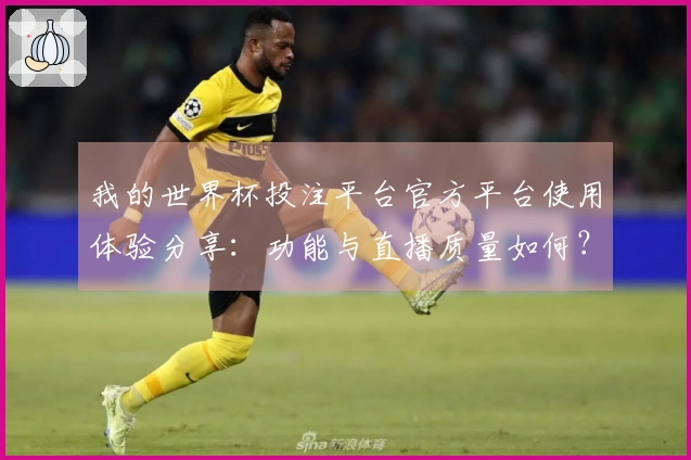 我的世界杯投注平台官方平台使用体验分享：功能与直播质量如何？