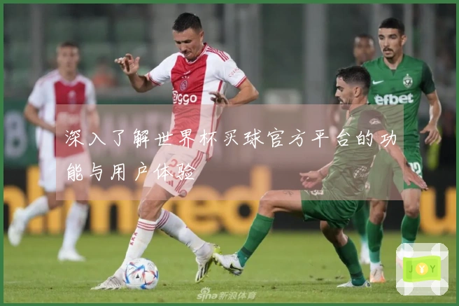 深入了解世界杯买球官方平台的功能与用户体验